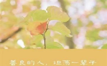 关于慈善的演讲稿5篇