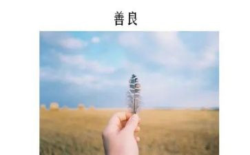 善与恶作文800字精选6篇