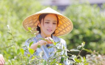 我的生活800字作文精选6篇
