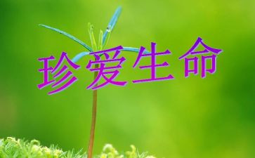 生命生命读后感800字作文6篇