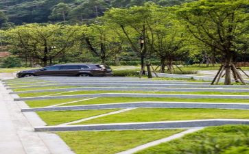 2024年生态日活动方案6篇