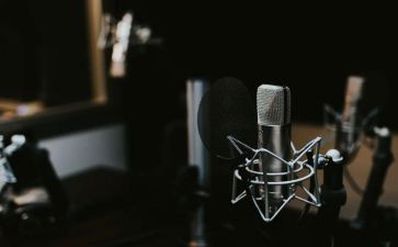 树的声音作文推荐8篇