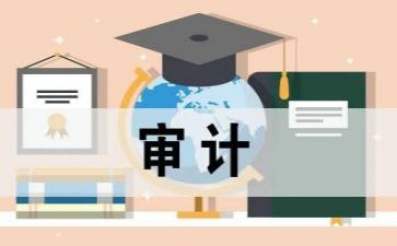 半年度审计工作总结最新8篇