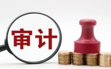 区审计局工作总结6篇