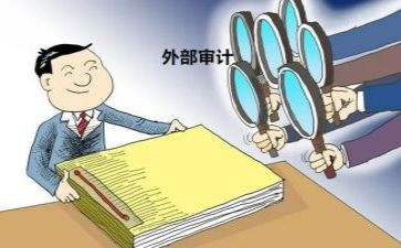 审计半年工作总结8篇