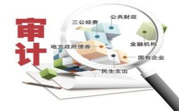 审计处工作总结8篇