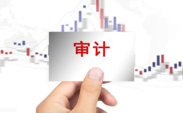 审计工作半年度总结6篇