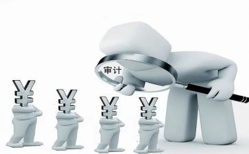 审计干部工作总结6篇