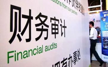 半年审计工作总结6篇