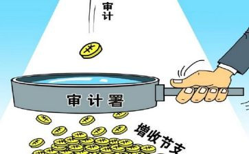 财务年度审计工作总结6篇