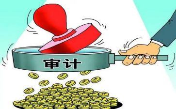 公司审计工作总结范文7篇