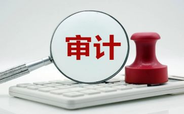 半年度审计工作总结8篇