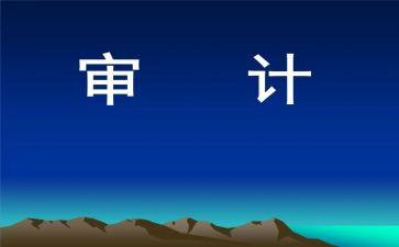 公司审计工作总结6篇