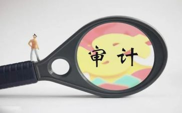 内部财务审计审计工作总结6篇