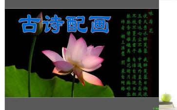 有关诗歌的作文8篇