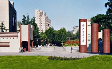 幼儿教师大班个人总结参考6篇