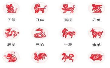 大班十二生肖教案参考8篇