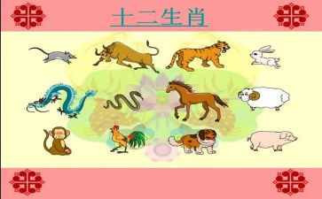 十二生肖教案8篇