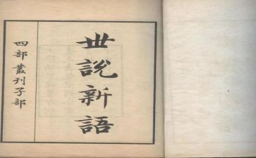 《世说新语》的读后感参考5篇