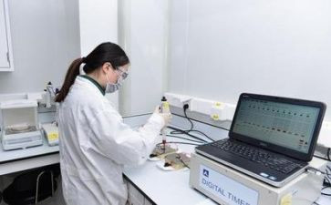 实验组工作计划最新8篇