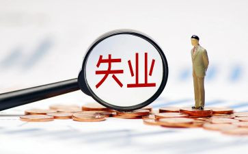 失业保险2024年工作总结8篇