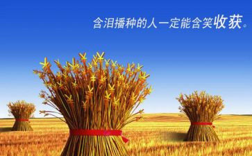 培训的收获与心得体会精选8篇