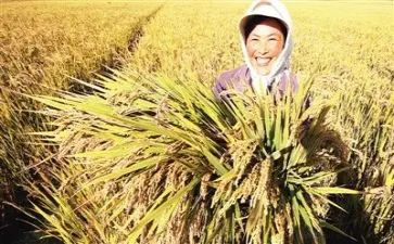 收获和心得体会优秀7篇