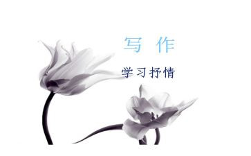 抒情怀作文7篇
