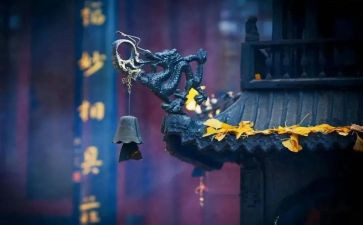 寺管干部工作计划推荐7篇