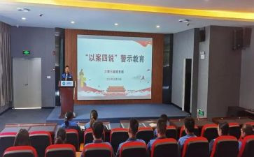 审计以案四说心得体会7篇