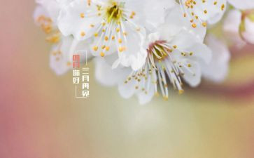 写四月的作文模板6篇