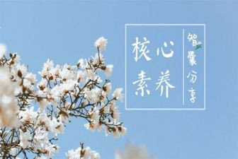 教师职业素养的心得体会8篇