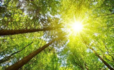 太阳能工程安装合同7篇