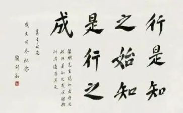 陶行知的教育读后感精选5篇