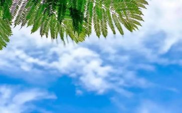科学《天气》教案7篇