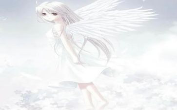 有关天使作文6篇