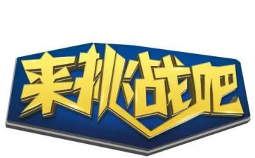 《挑战》读后感7篇