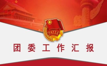 个人团委工作总结范文6篇