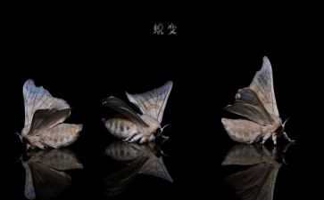我在中蜕变作文600字5篇