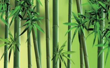 托物言志作文推荐8篇