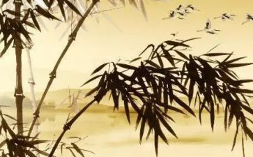 托物言志作文7篇
