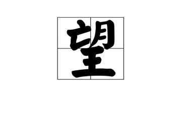 我的愿望的作文通用7篇