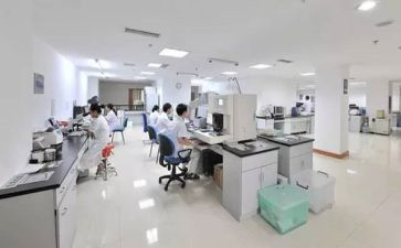 卫生院工作计划模板6篇