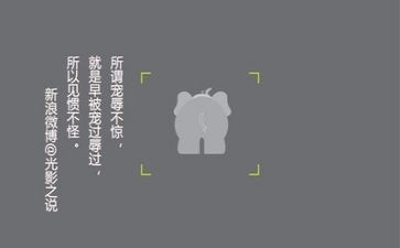 文字的作文300字8篇
