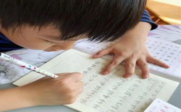 我的名字我的人作文优秀8篇