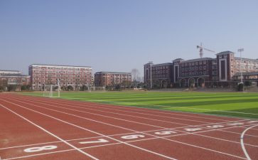 300字写我的校园的作文8篇
