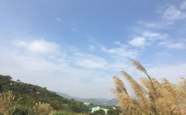 作文《我的一天》400字5篇
