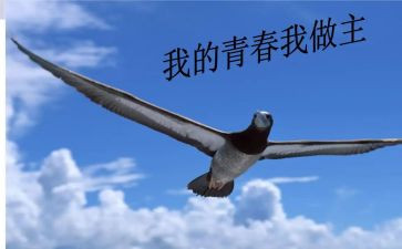 我的我做主作文优质8篇