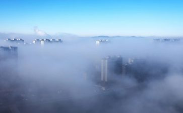 雾都孤儿电影观后感6篇