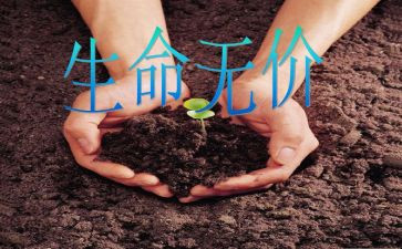 青春是无价的800作文8篇